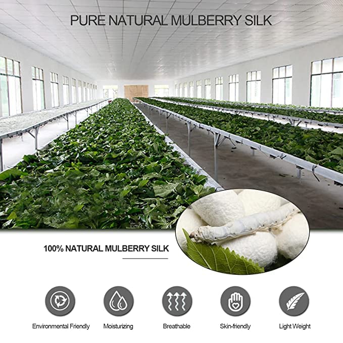 Pure Natural Mulberry Silk